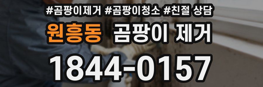 원흥동 곰팡이 제거
