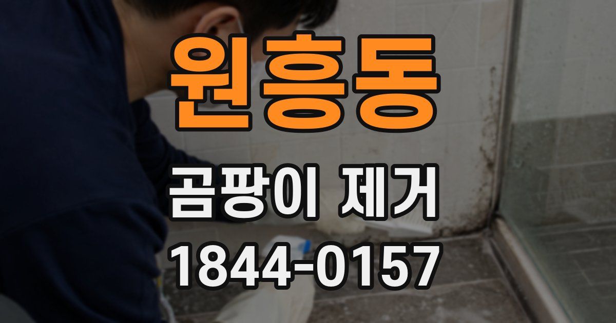 원흥동 곰팡이 제거