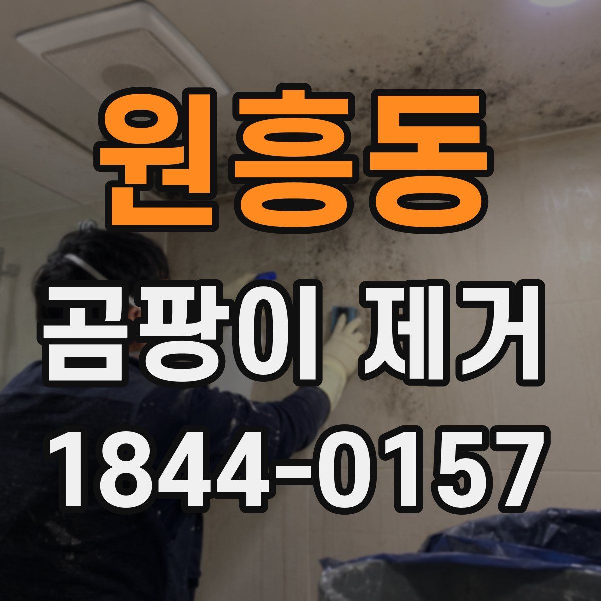 원흥동 곰팡이 제거