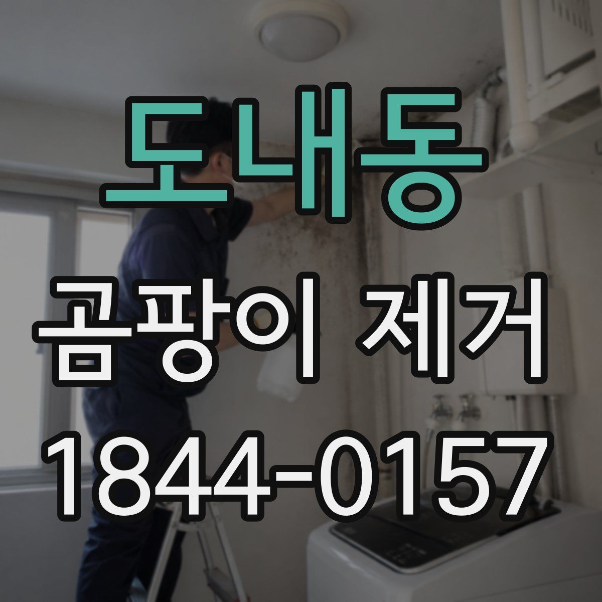 도내동 곰팡이 제거