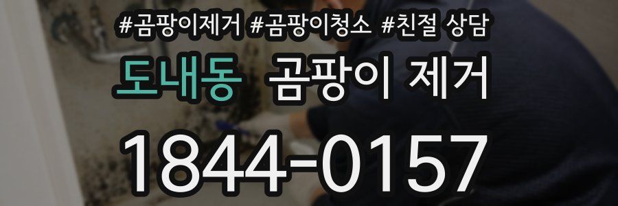도내동 곰팡이 제거