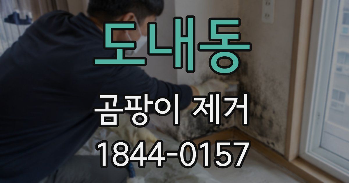 도내동 곰팡이 제거
