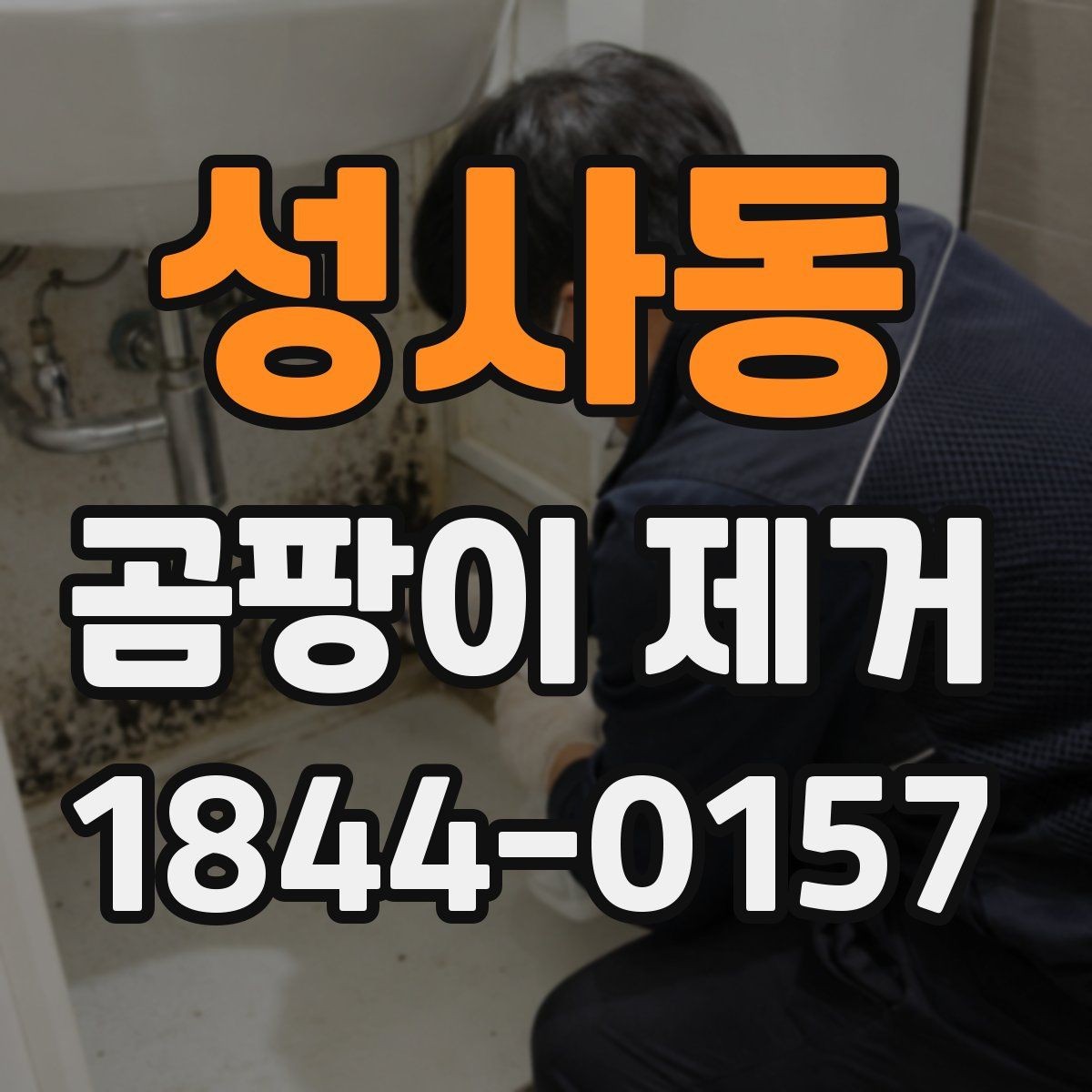 성사동 곰팡이 제거 후 청소와 방역은 어떻게 다를까