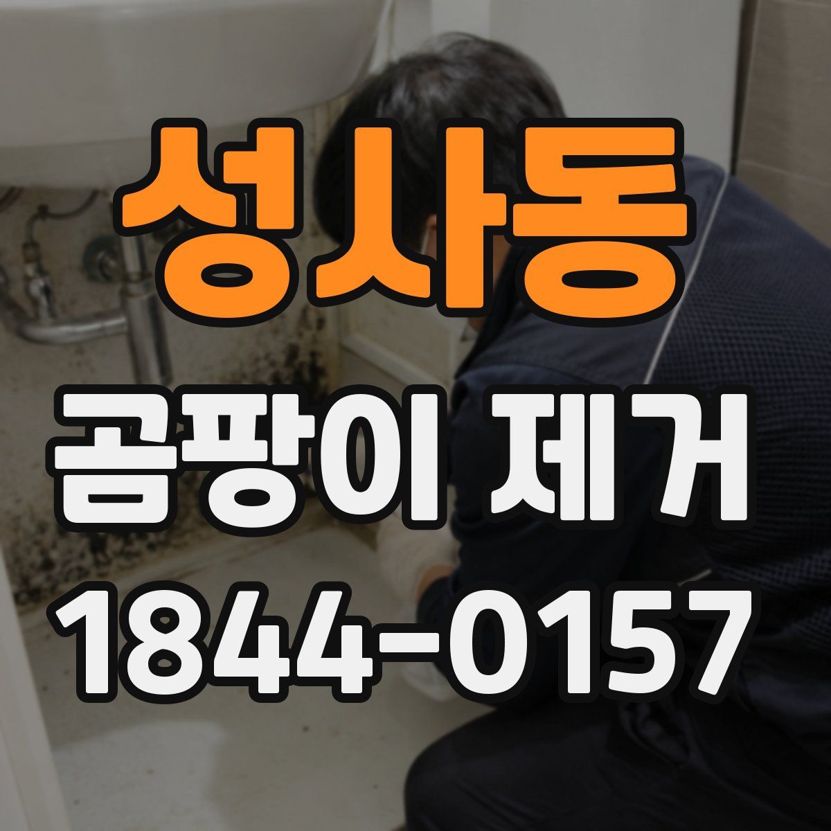 성사동 곰팡이 제거