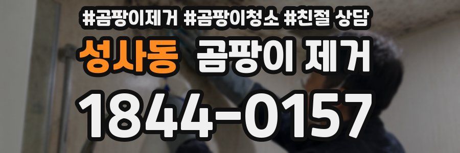 성사동 곰팡이 제거