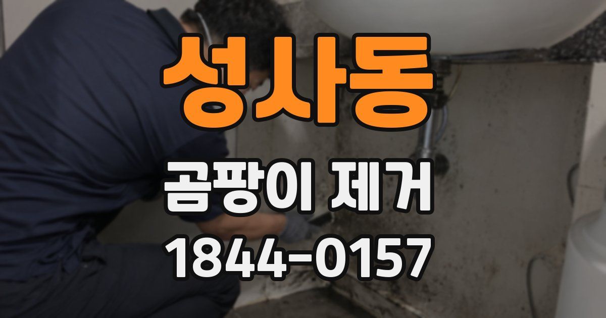 성사동 곰팡이 제거