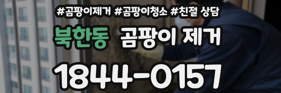북한동 곰팡이 제거
