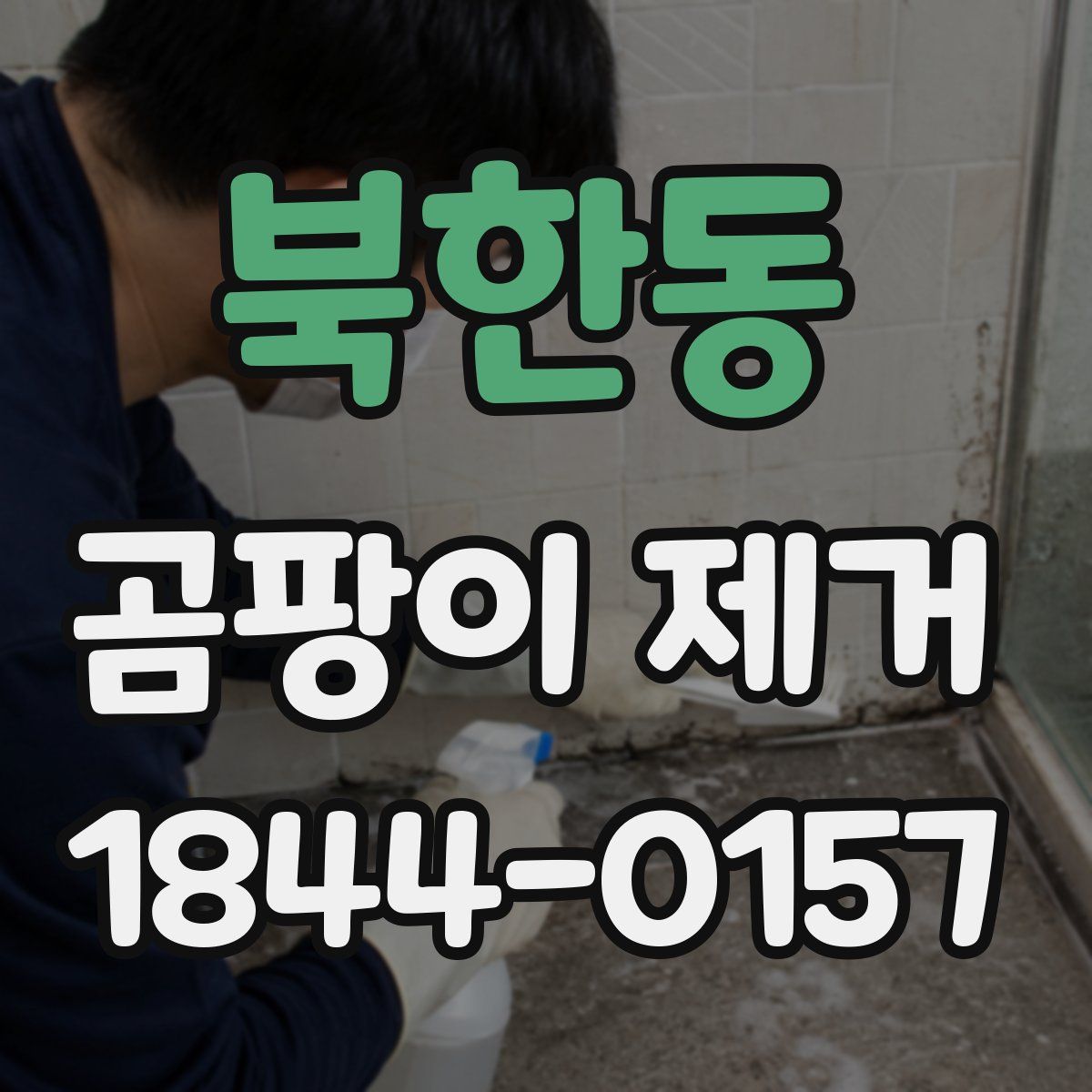 북한동 곰팡이 제거