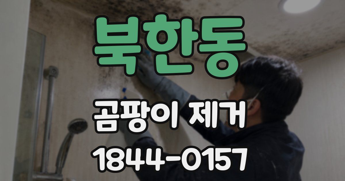 북한동 곰팡이 제거