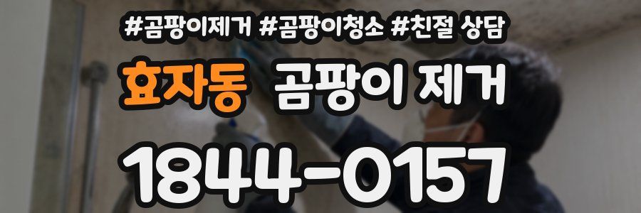 효자동 곰팡이 제거