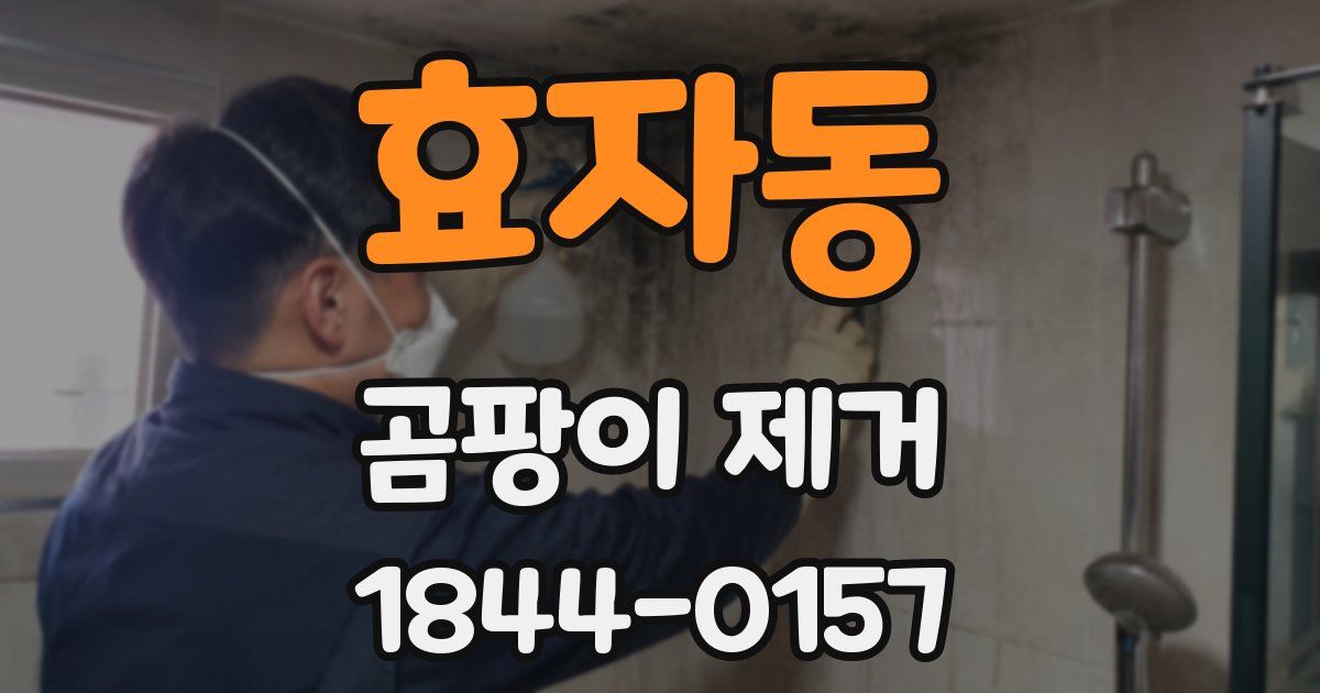 효자동 곰팡이 제거