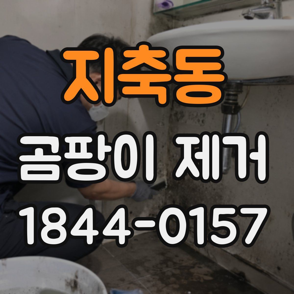 지축동 곰팡이 제거