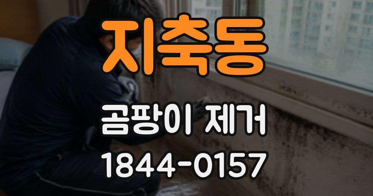 지축동 곰팡이 제거