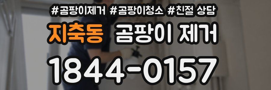 지축동 곰팡이 제거
