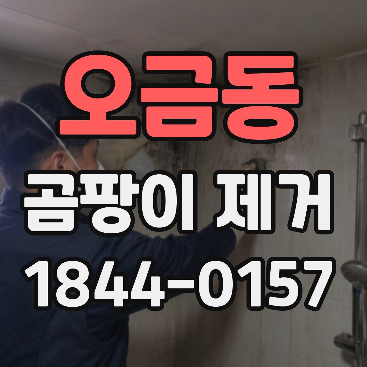 오금동 곰팡이 제거