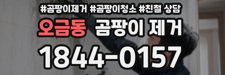 오금동 곰팡이 제거