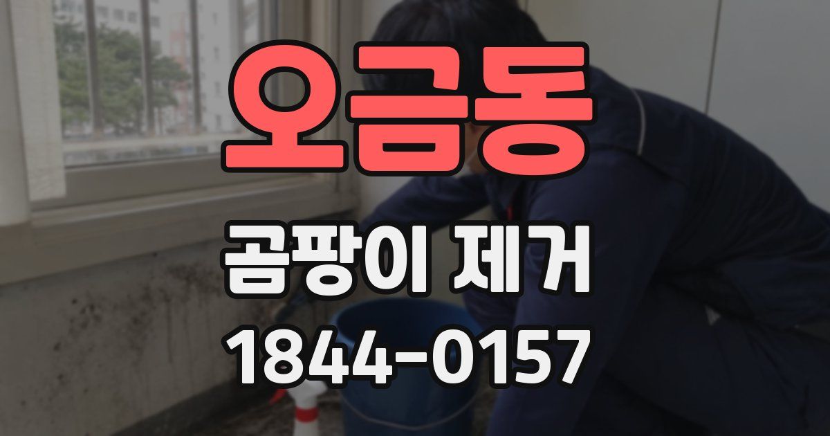 오금동 곰팡이 제거