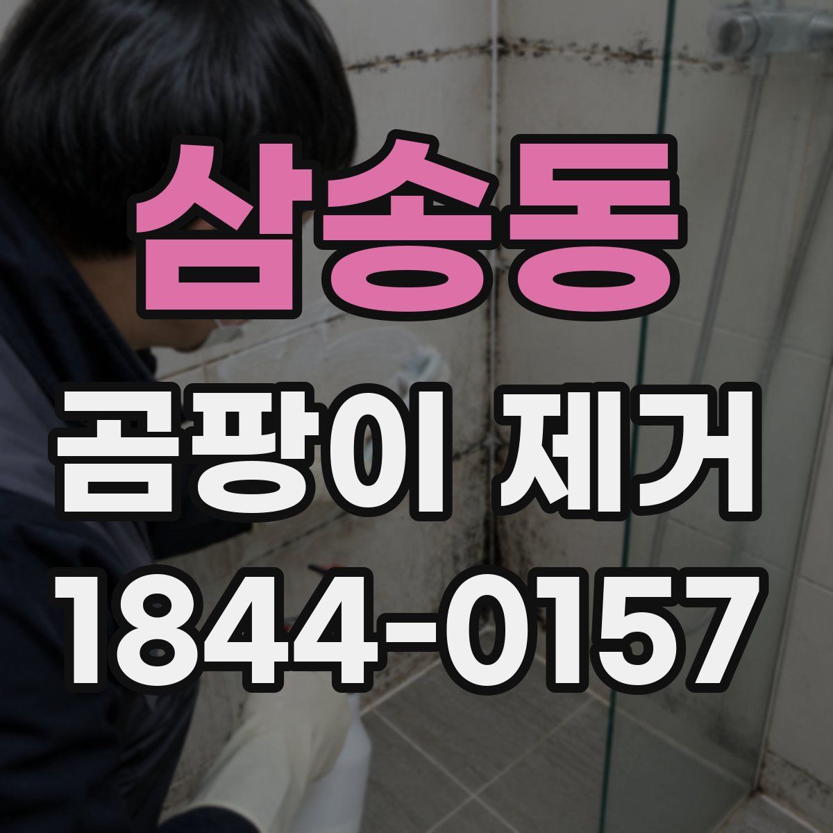 삼송동 곰팡이 제거