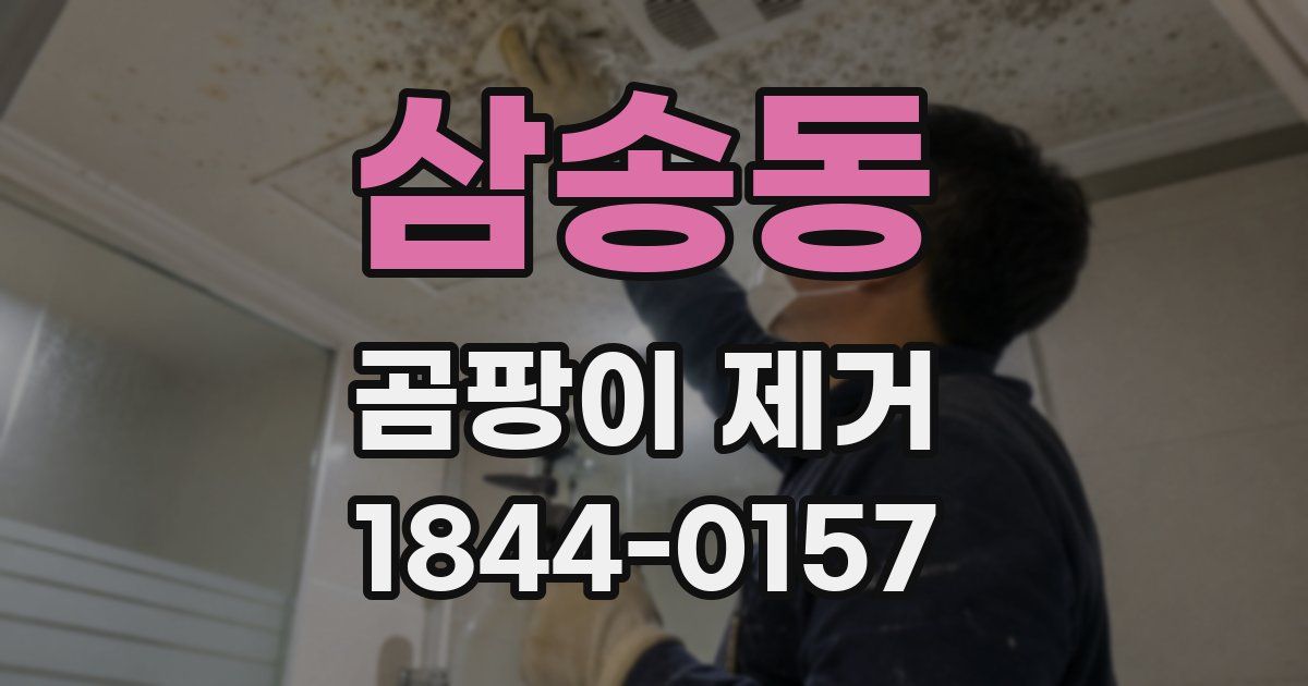 삼송동 곰팡이 제거