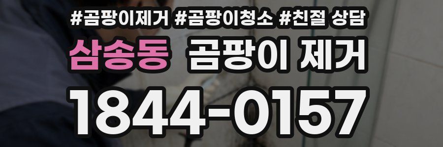 삼송동 곰팡이 제거