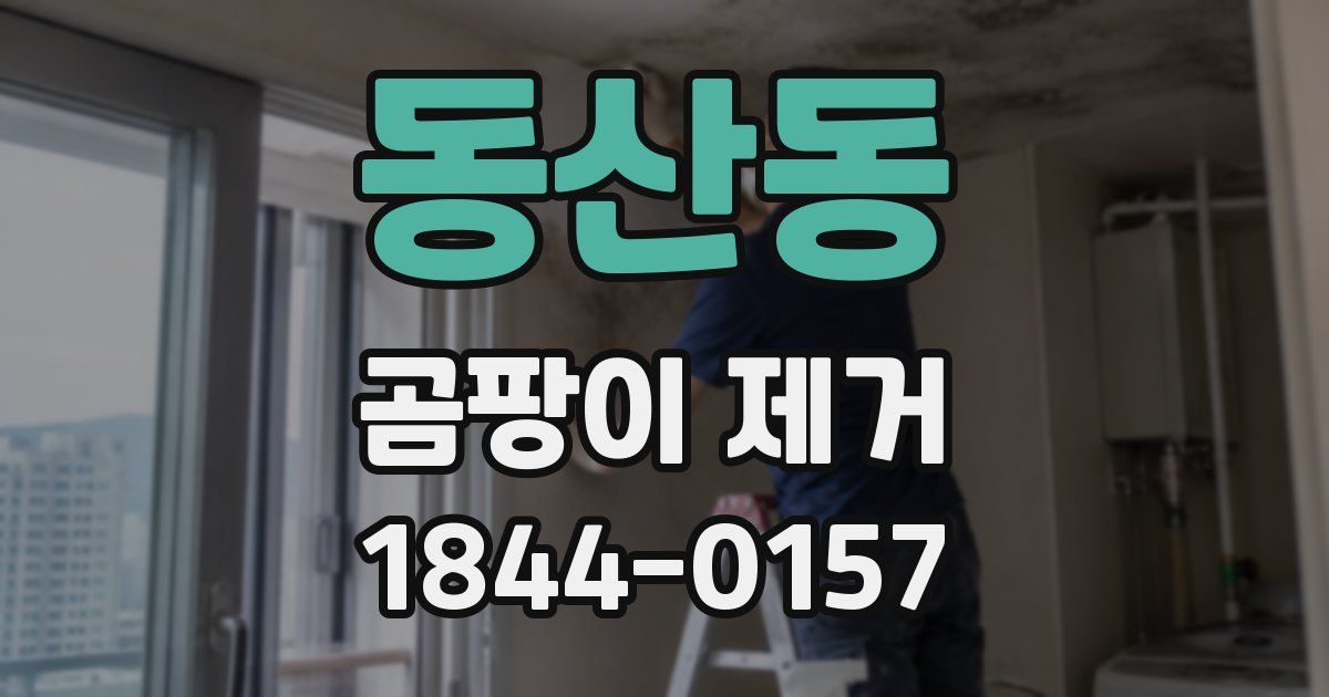 동산동 곰팡이 제거