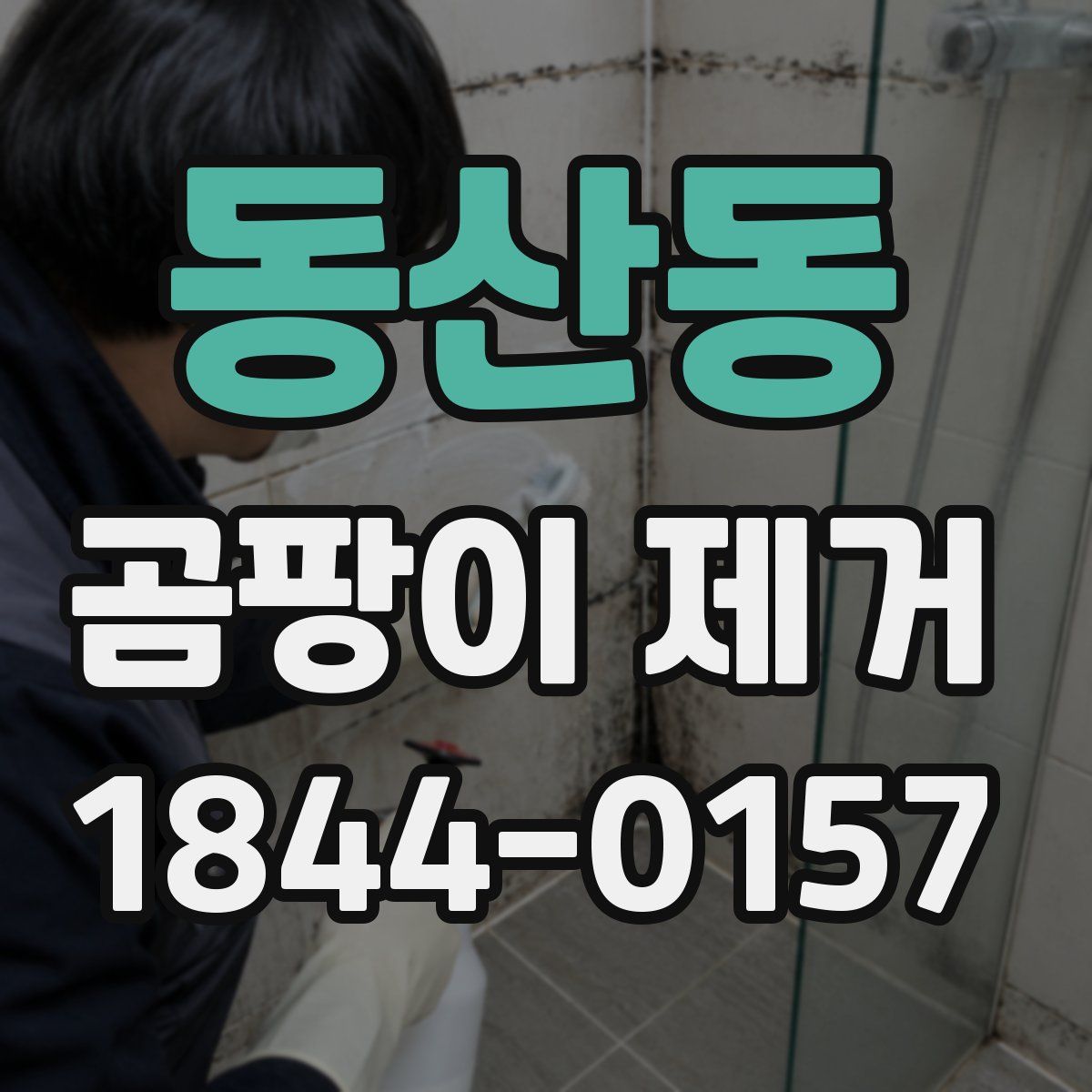 동산동 곰팡이 제거