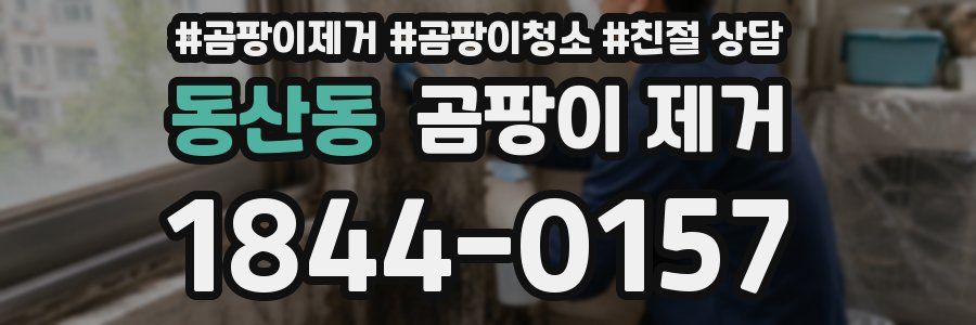 동산동 곰팡이 제거