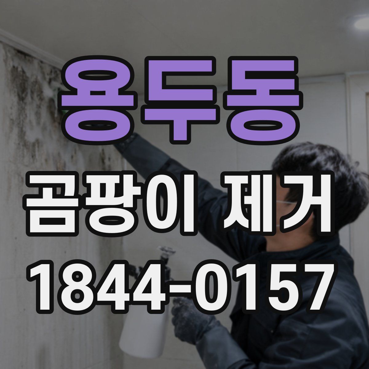 용두동 곰팡이 제거