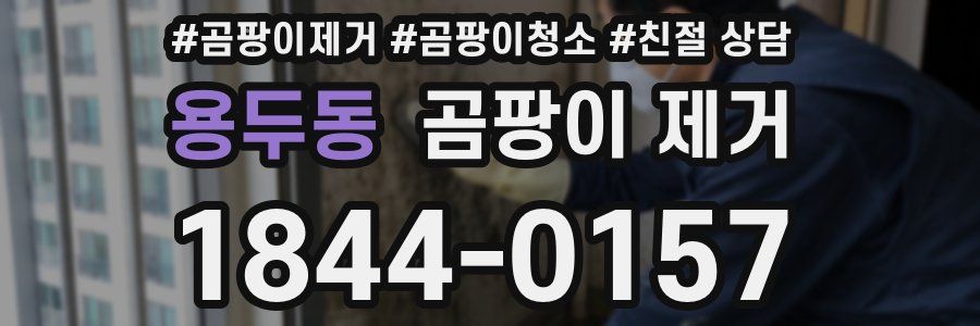 용두동 곰팡이 제거