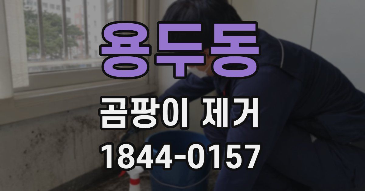 용두동 곰팡이 제거