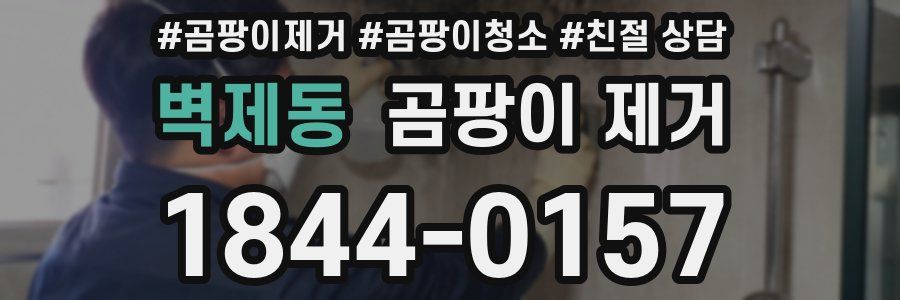 벽제동 곰팡이 제거