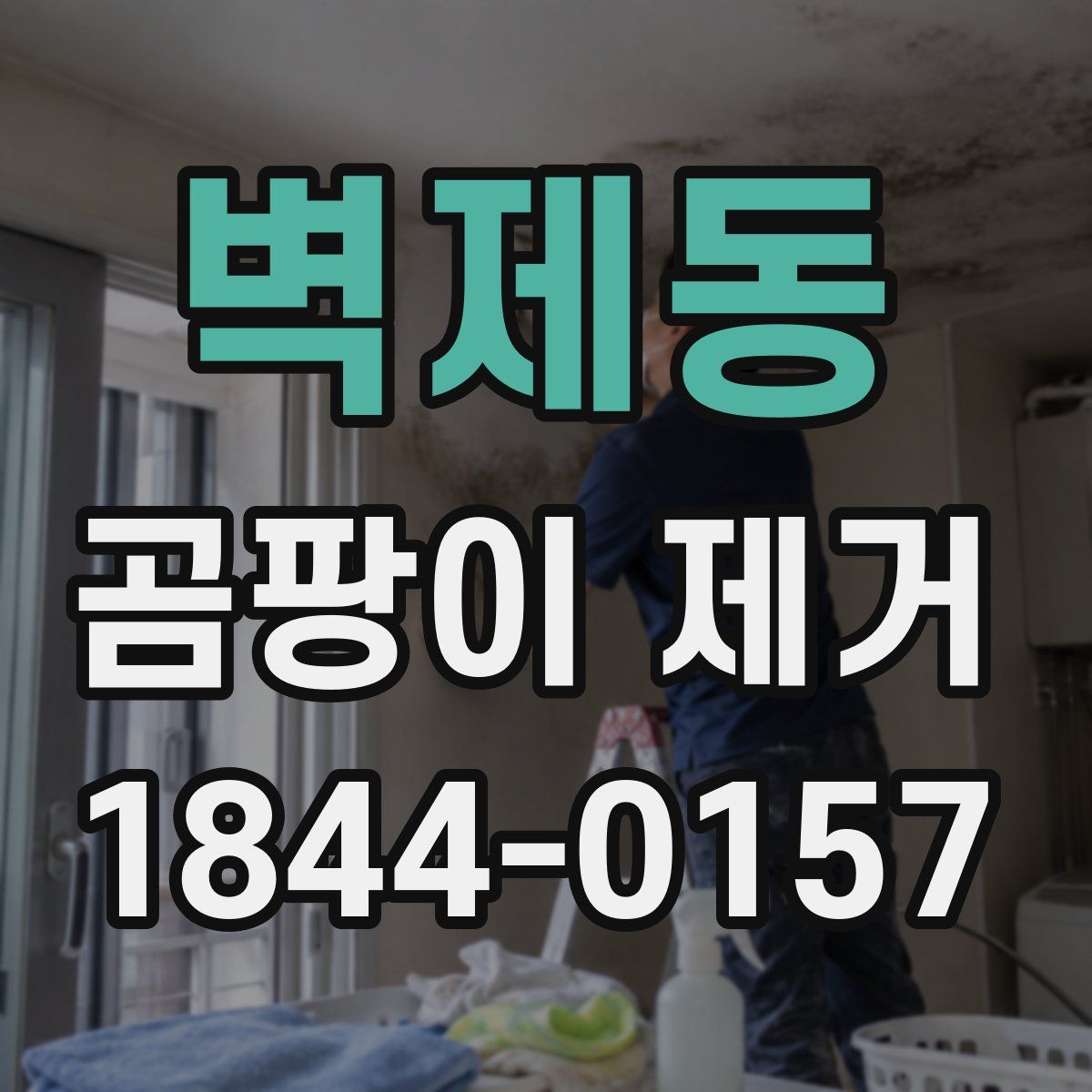 벽제동 곰팡이 제거