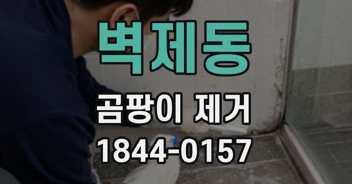 벽제동 곰팡이 제거
