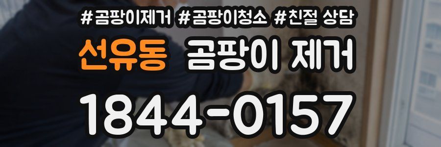 선유동 곰팡이 제거