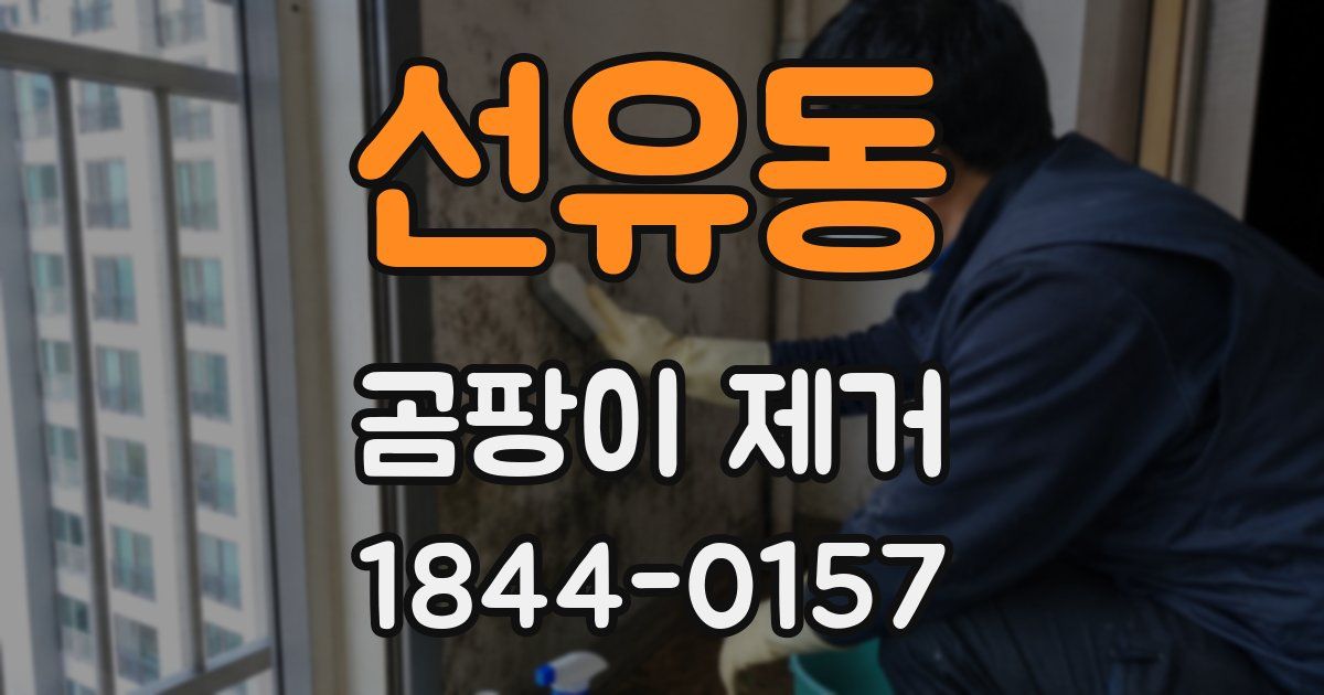 선유동 곰팡이 제거
