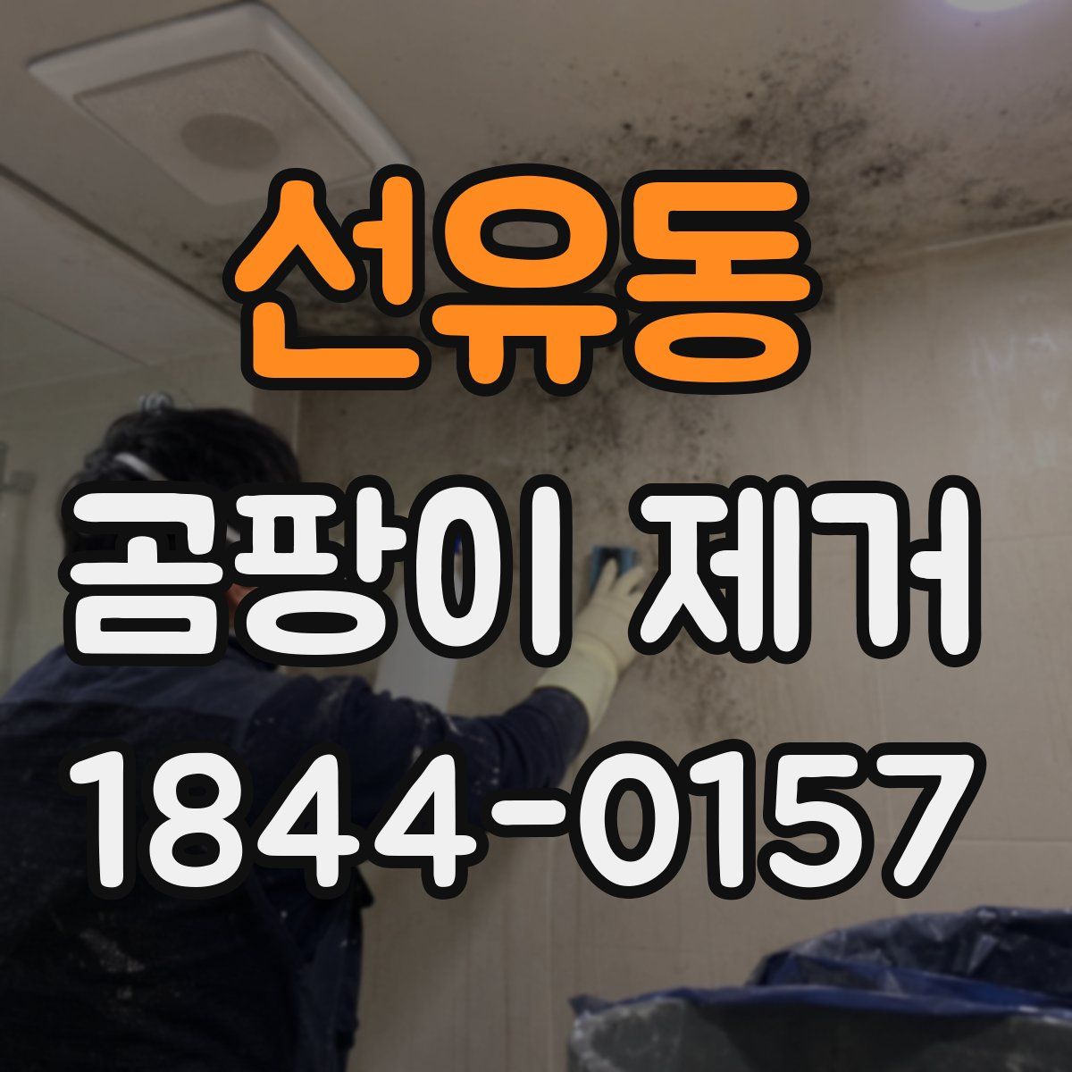 선유동 곰팡이 제거
