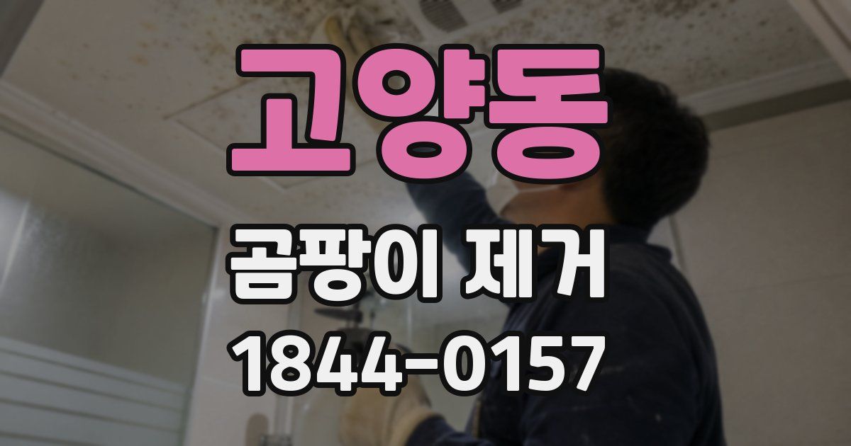 고양동 곰팡이 제거