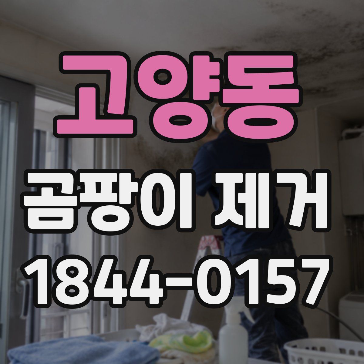고양동 곰팡이 제거