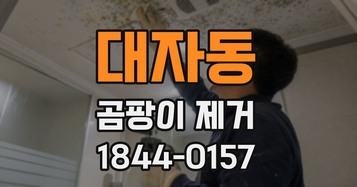 대자동 곰팡이 제거