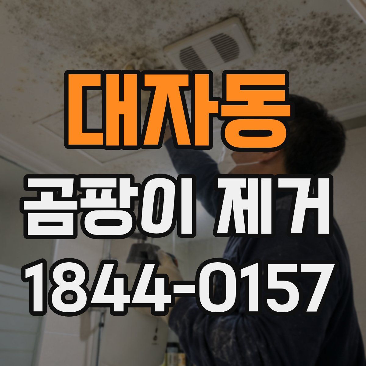 대자동 곰팡이 제거