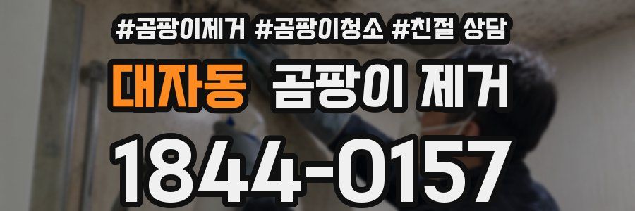 대자동 곰팡이 제거