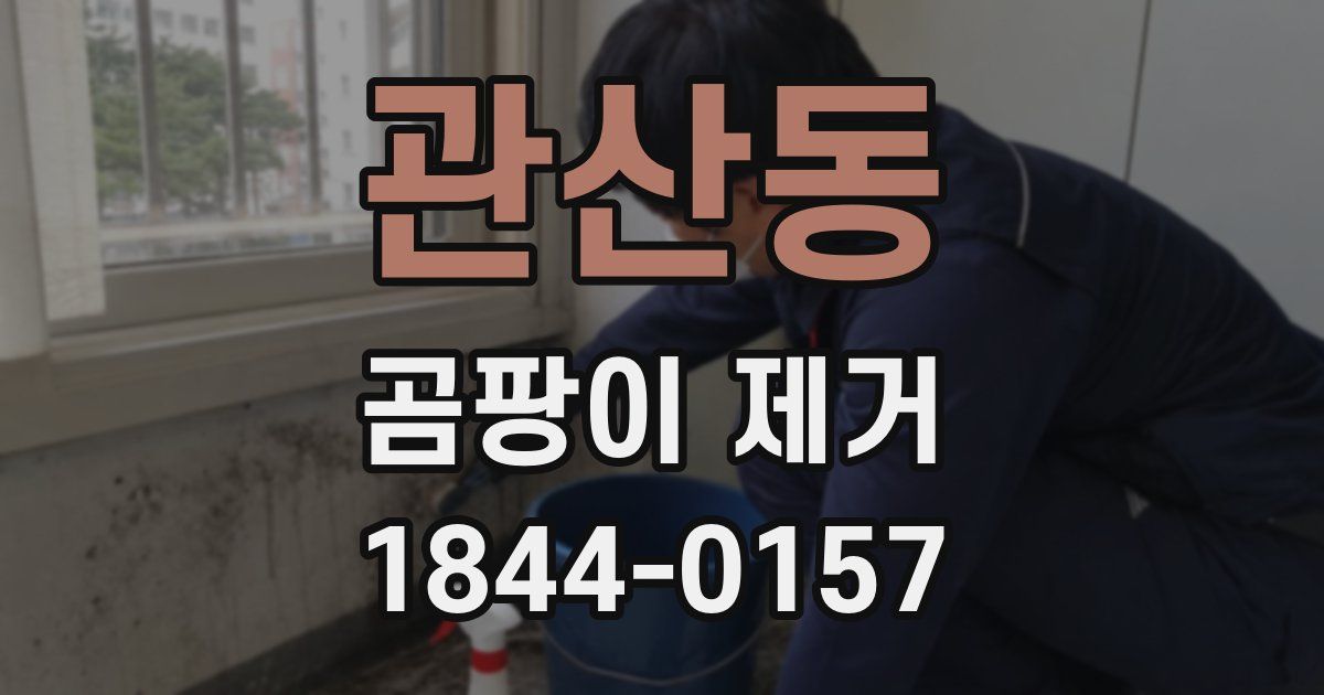관산동 곰팡이 제거