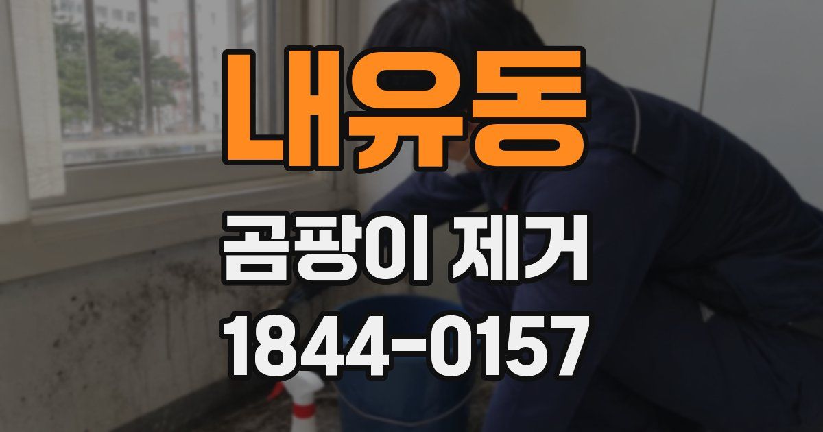 내유동 곰팡이 제거