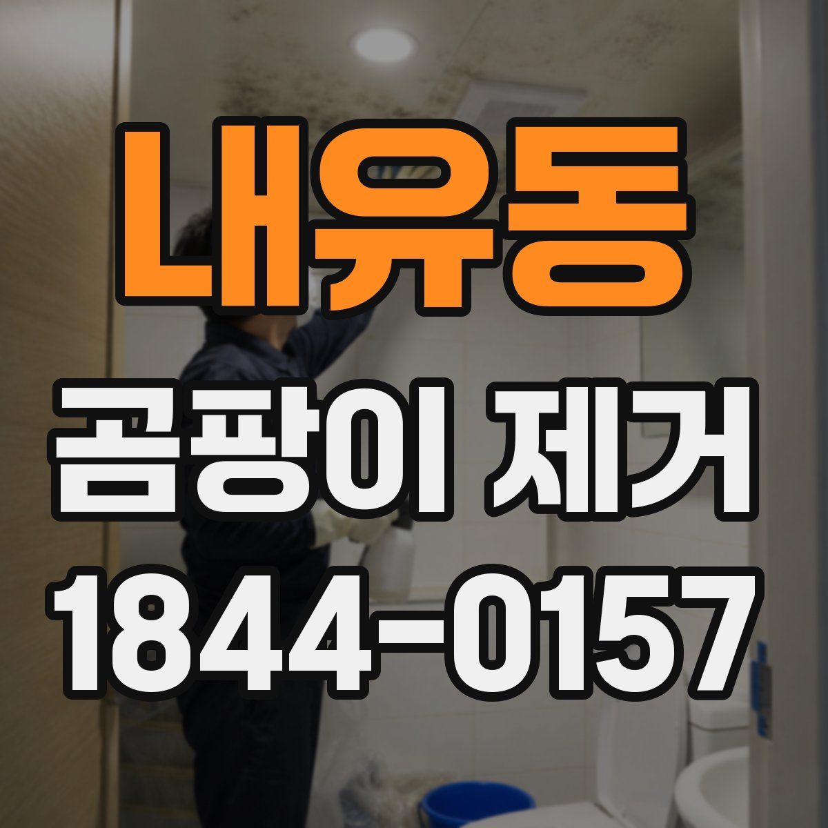 내유동 곰팡이 제거