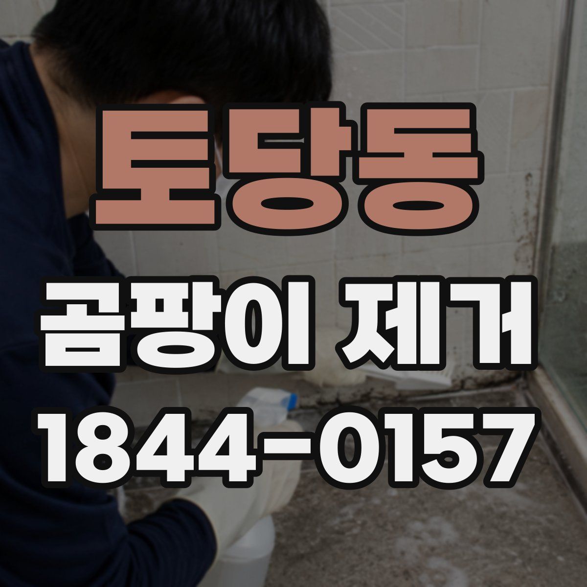 토당동 곰팡이 제거