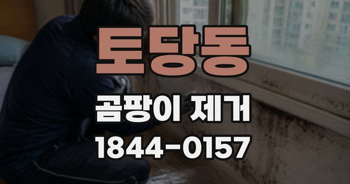 토당동 곰팡이 제거