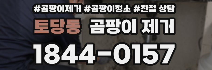 토당동 곰팡이 제거