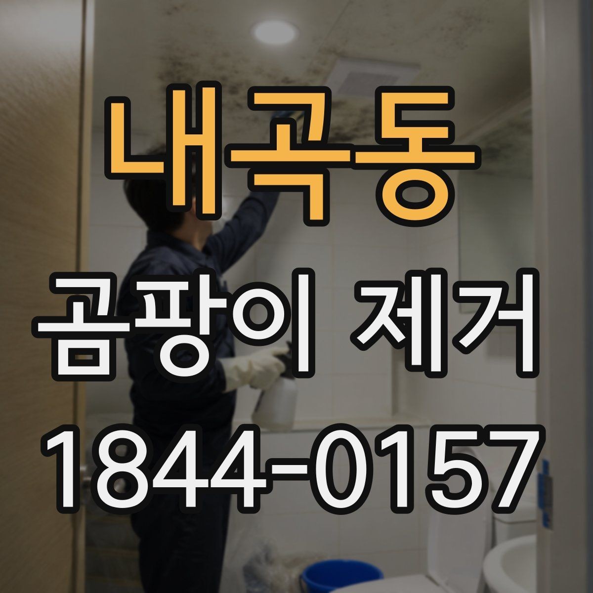 내곡동 곰팡이 제거 비용 문의 전 정리할 정보