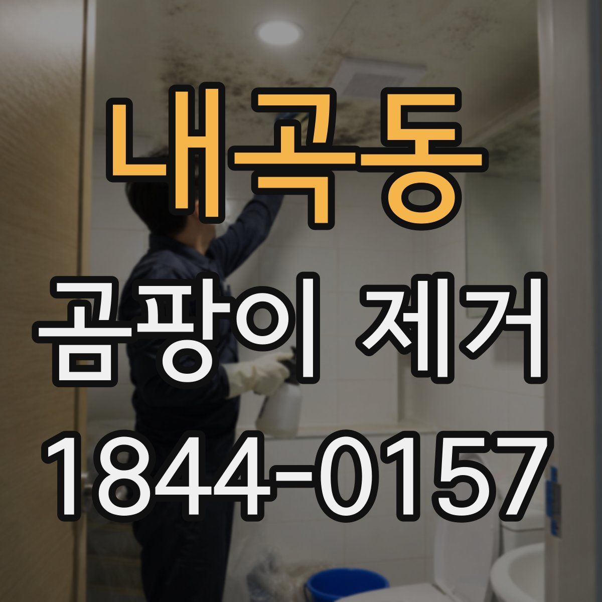 내곡동 곰팡이 제거