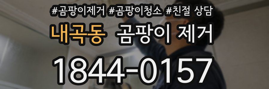 내곡동 곰팡이 제거